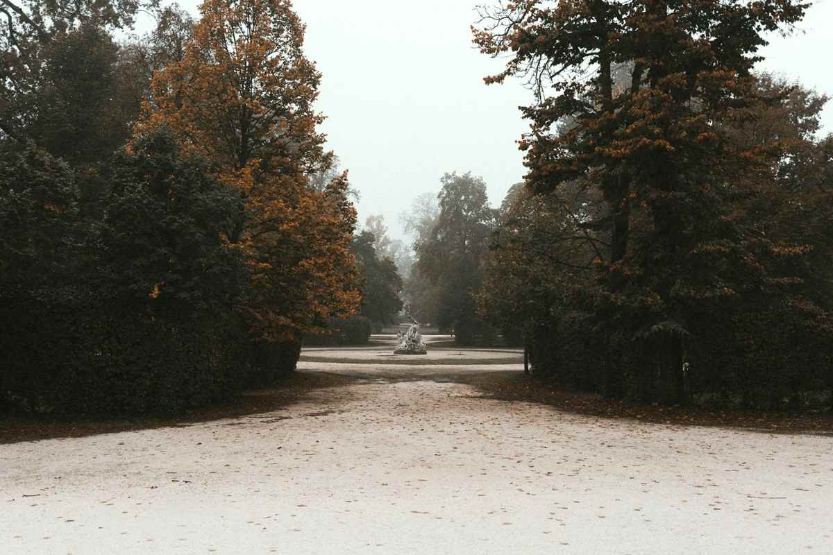 Марія Щербак